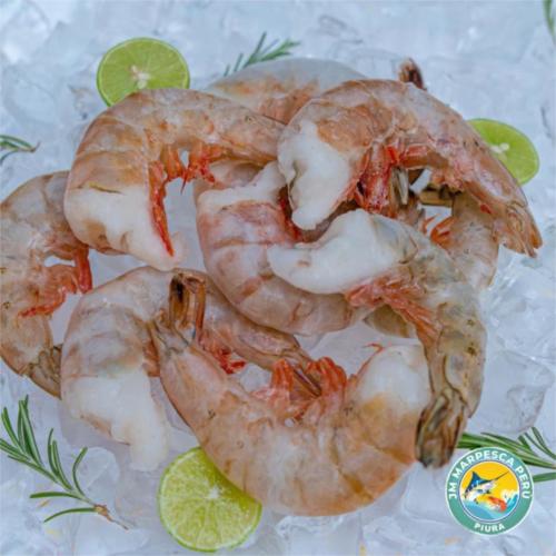 LANGOSTINO JUMBO